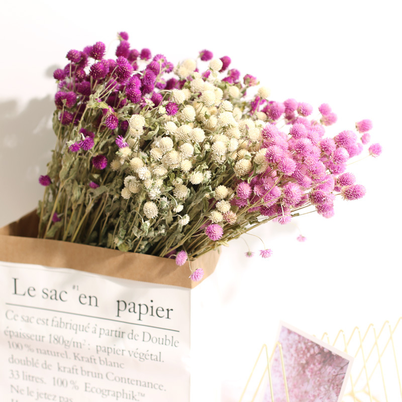 Natural Florist Supply - 天然のドライアマランの花の花束、結婚式の家の装飾、バレンタインデーのギフト、ドライグローブ、花屋用品