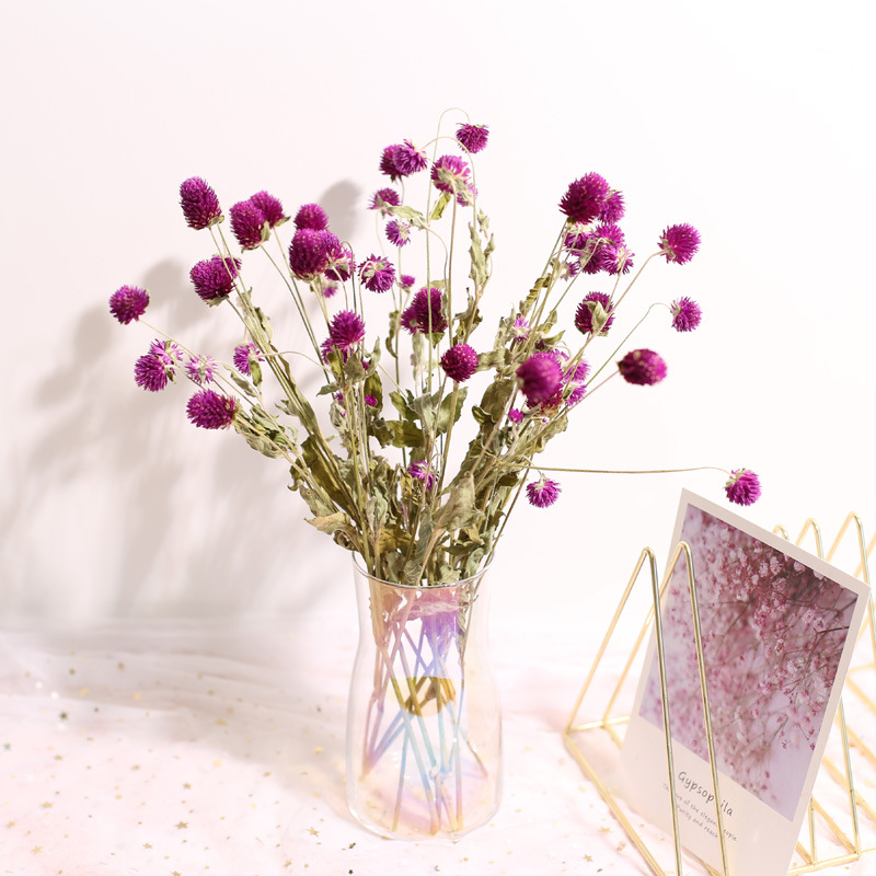 天然のドライアマランの花の花束、結婚式の家の装飾、バレンタイ - Natural Florist Supply のレビューと価格