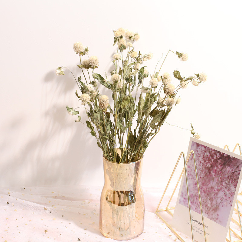 天然のドライアマランの花の花束、結婚式の家の装飾、バレンタイ - Natural Florist Supply のレビューと価格